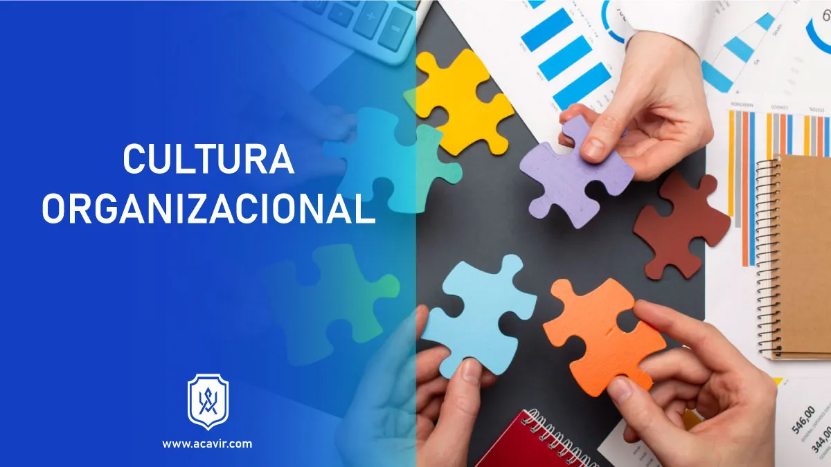 cultura organizacional que es