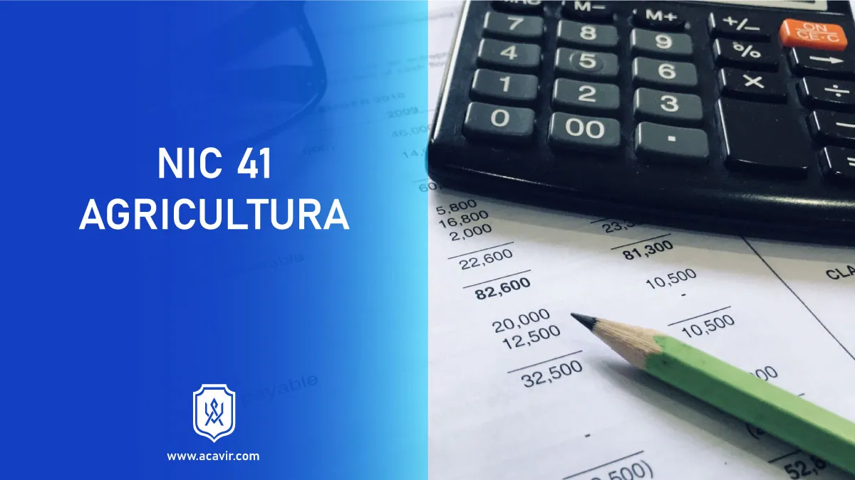 normar internacionales de contabilidad NIC agricultura