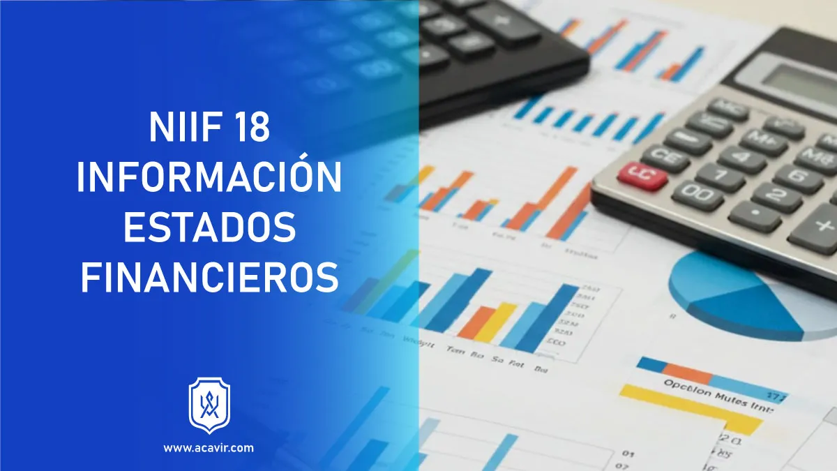 normas internacionales de información financiera NIIF información a revelar estados financieros