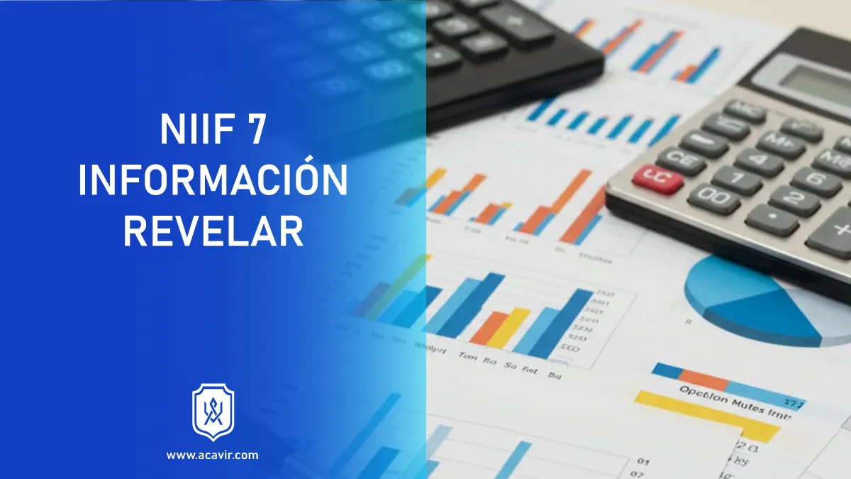 normas internacionales información financiera NIIF instrumentos financieros información a revelar
