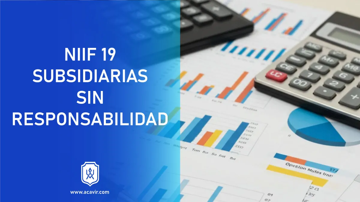 normas internacionales de información financiera NIIF 19 subsidiarias sin responsabilidad pública