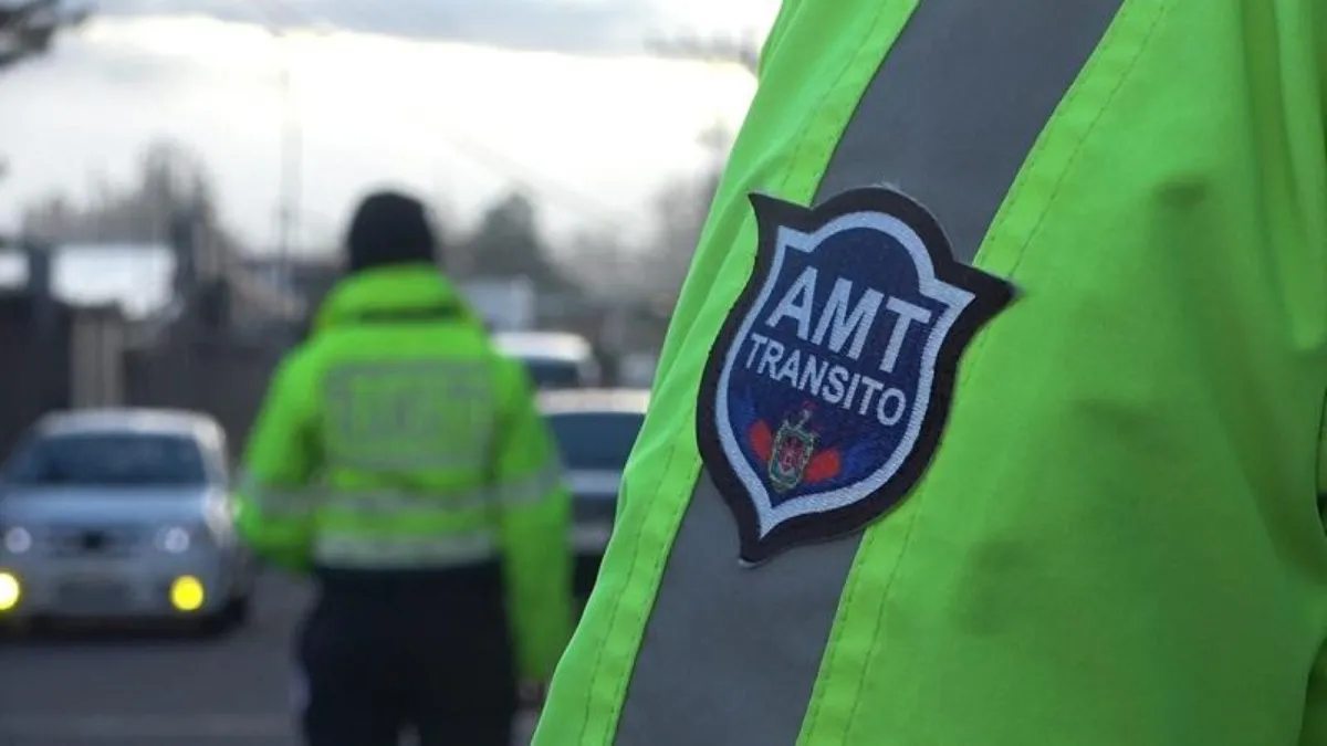 revisión vehicular amt