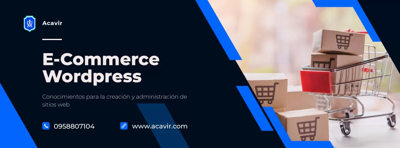 curso wordpress