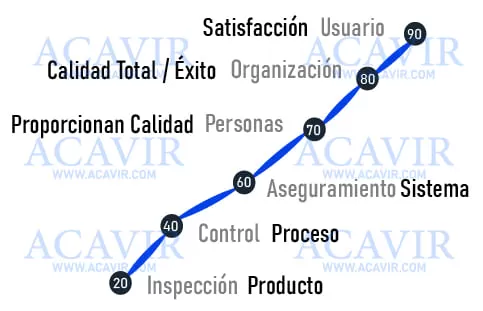 antecedentes evolución calidad por procesos