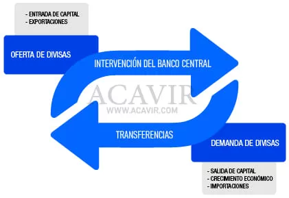 estructura mercado de divisas