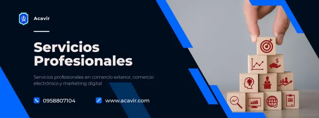 servicios profesionales