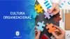 cultura organizacional que es