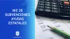 normas internacionales de contabilidad NIC subvenciones ayudas estatales